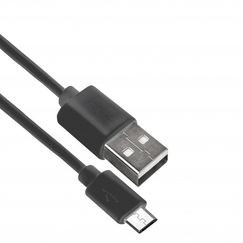 Электрическая звуковая зубная щётка Revyline RL 010 Black Rabbit Special Edition и по всей Беларуси в интернет-магазине Revyline.by