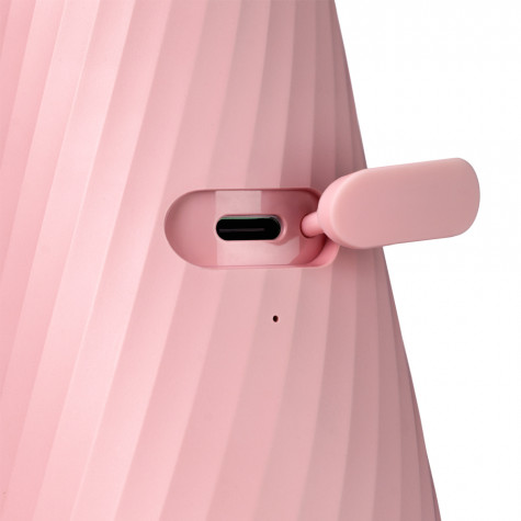 Портативный ирригатор Revyline RL 640, Beige и по всей Беларуси в интернет-магазине Revyline.by