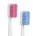 Набор зубных щеток Revyline S6500 Smart Duo, White/Pink + White/Blue и по всей Беларуси в интернет-магазине Revyline.by